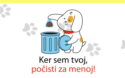 Ker sem tvoj, počisti za menoj!